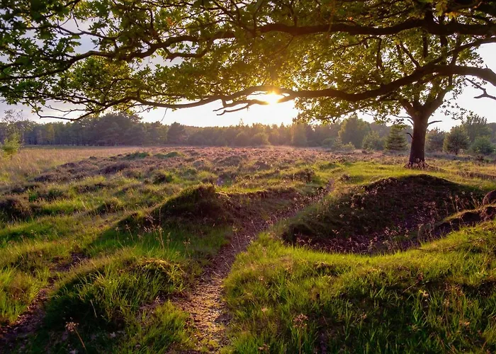 B&B De Sfeerhoeve